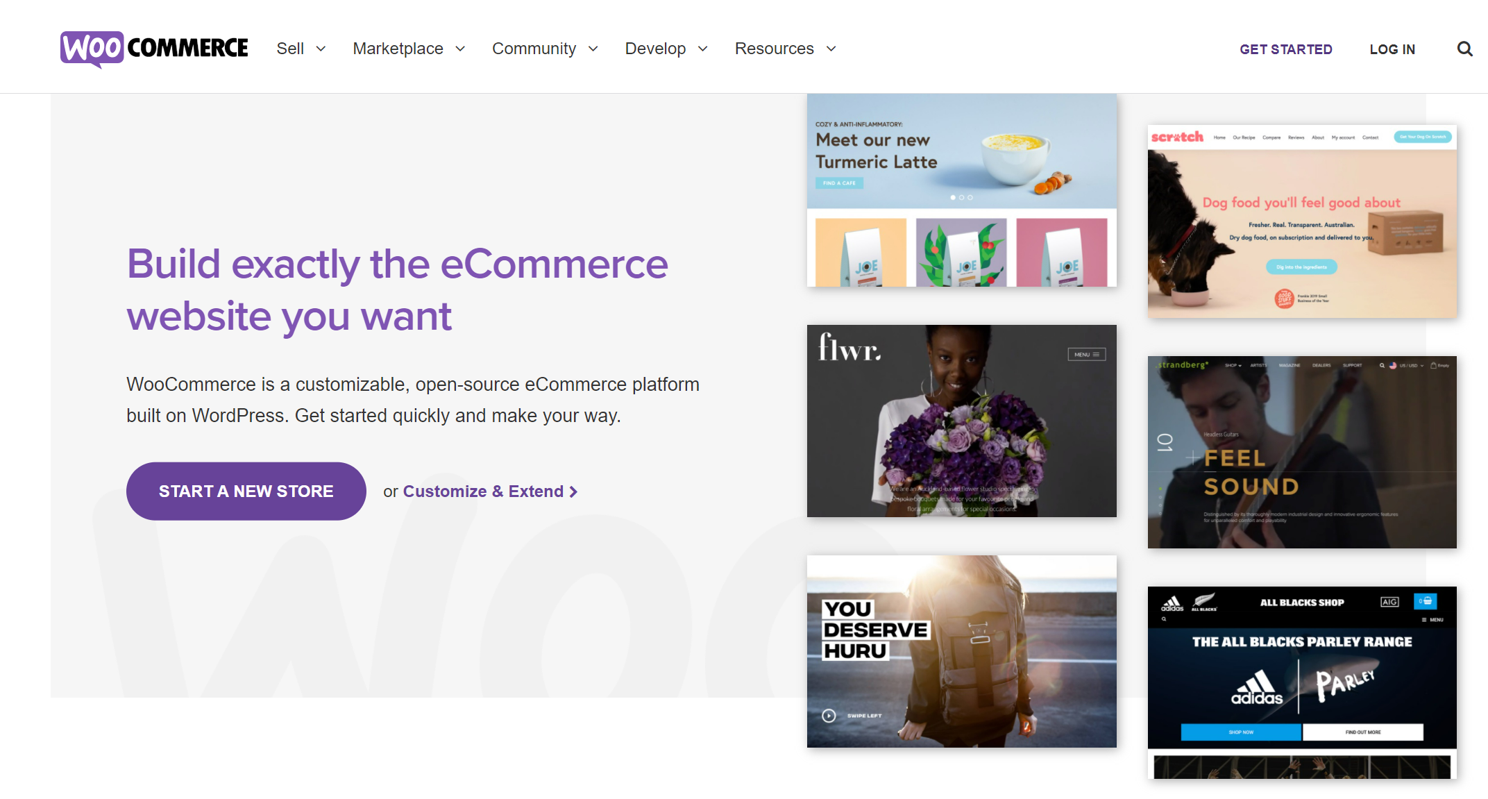 Woocommerce ecommerce platform